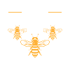 Honey Bees Sweet