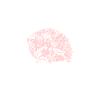 Tiermotiv Igel