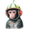 Singe à la pastèque