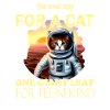 Chat astronaute