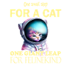 Cat Astronaut