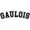 Gaulish University