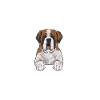 Saint-Bernard Chien Saint-Bernard
