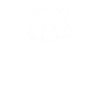 Beziehungsstatus Waschbär