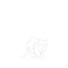 Tiermotiv Waschbär