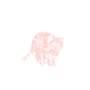 Tiermotiv Waschbär