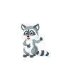 Tiermotiv Waschbär