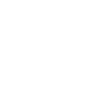 Tiermotiv Waschbär