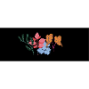 Summer flower
