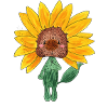Tournesol
