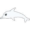 Dolphin Dolphins