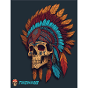 Native American Skull