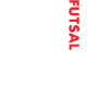 Sport Us Flag Futsal