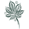 Chestnut Leaf Leaf Chestnut