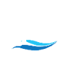 Captain Pirates