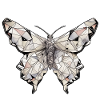 Origami Butterfly Japanese Art