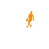 Roi du basketball
