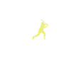 Baseball King