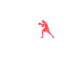 Roi de la boxe