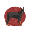 Doberman Dog Propriétaire Chien Cadeau