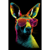 Kangaroo with Sunglasses