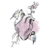 and heart