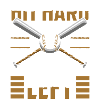 Baseball bat team coach