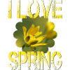 I love spring Frühling