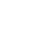 Ant Ants