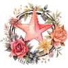 Flower wreath with star