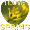 I love spring