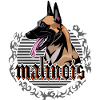 Malinois dog