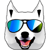 Husky with sunglasses