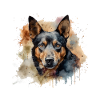 Australian Kelpie