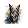 Australian Kelpie