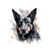 Australian Kelpie