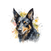 Australian Kelpie