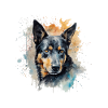 Australian Kelpie