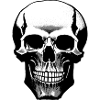 Skull Streetwear