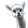 curious alpaca