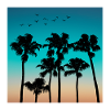 Sunset with palm trees