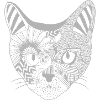 Patterned perfection - Cat