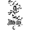 Bite Me Vampires Bats