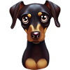Entzückendes Dobermann-Pinscher-Porträt