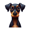 Playful Doberman Pinscher Design