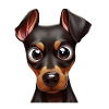 Lovable Doberman Pinscher Sketch