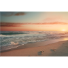 Beach Sunset