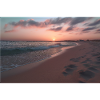 Beach Sunset