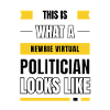 Newbie virtual politician