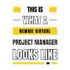 Newbie virtual project manager